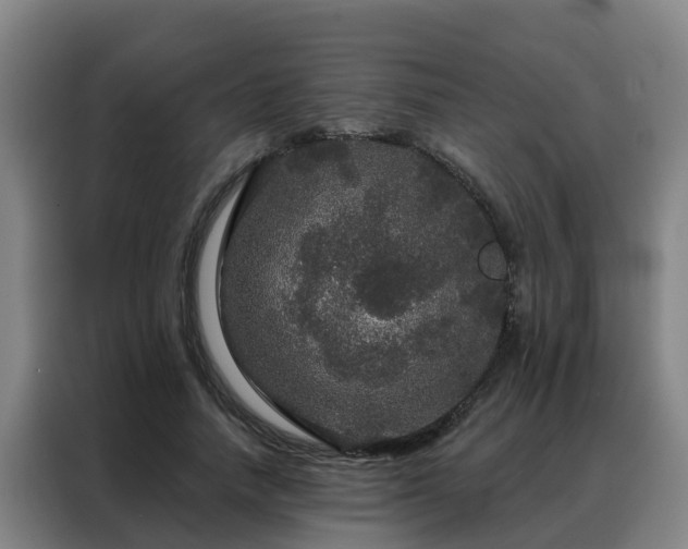 X0000088140738200705211135