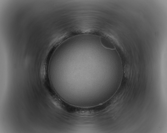 X0000088140740200705211135