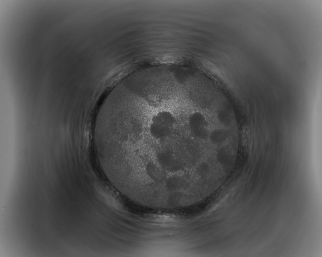 X0000088140741200705211135