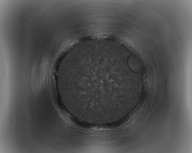 X0000088140742200705211135