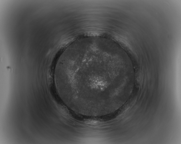 X0000088140743200705211135