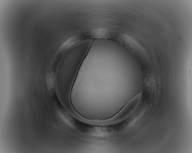 X0000088140744200705211135