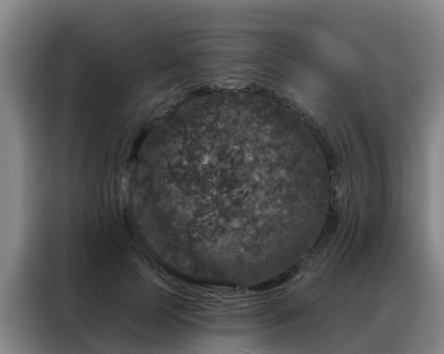 X0000088140745200705211135