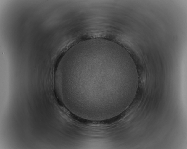 X0000088140746200705211135