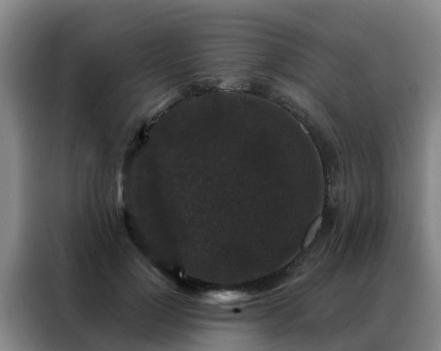 X0000088140748200705211135