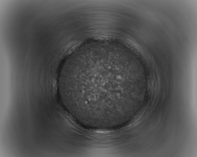 X0000088140749200705211135