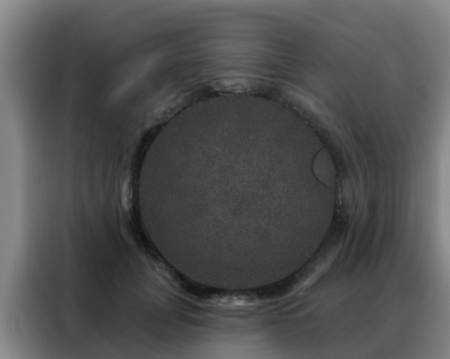 X0000088140751200705211135