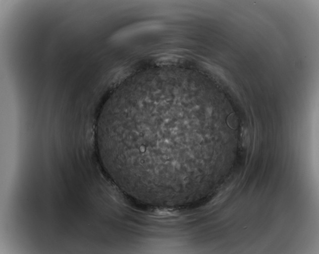 X0000088140753200705211135