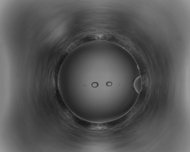 X0000088140754200705211135