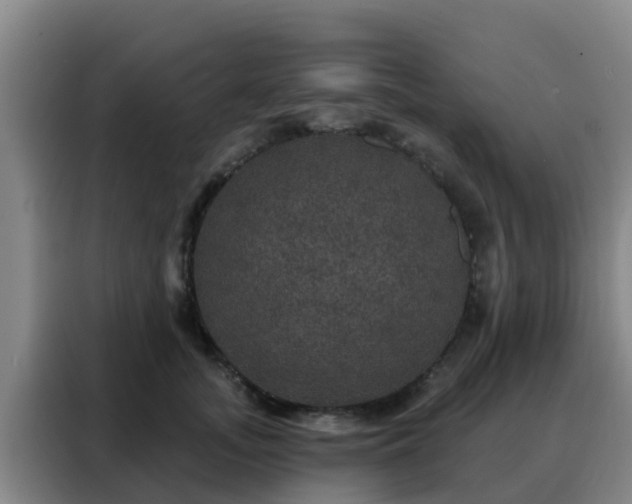 X0000088140755200705211135