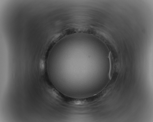 X0000088140756200705211135