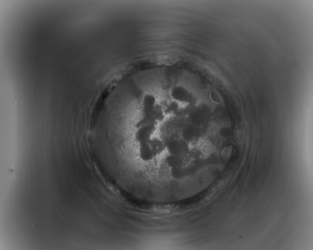X0000088140757200705211135