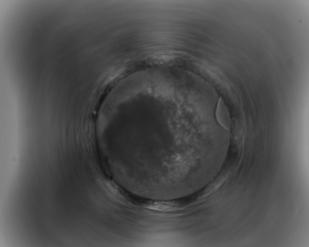 X0000088140758200705211135