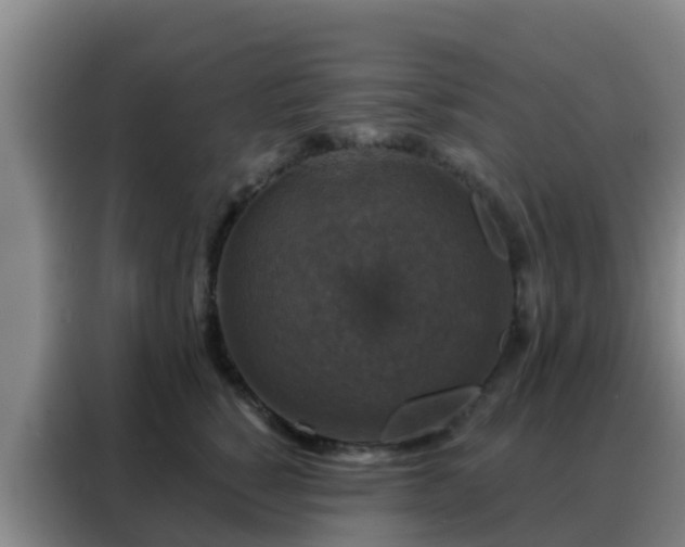 X0000088140760200705211135