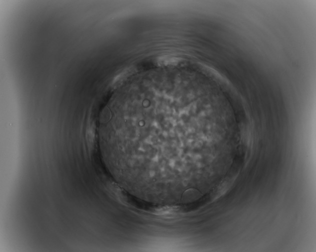 X0000088140761200705211135