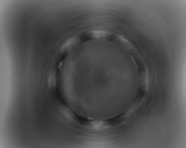 X0000088140762200705211135