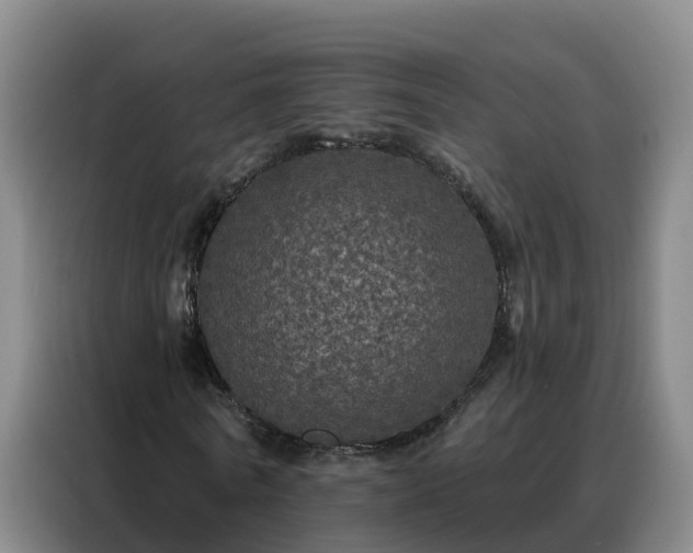 X0000088140770200705211135