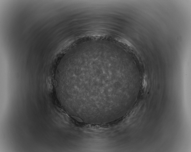 X0000088140774200705211135
