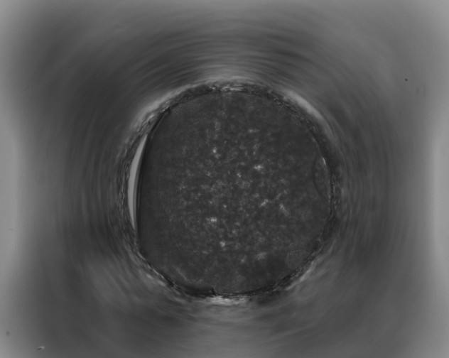 X0000088140775200705211135