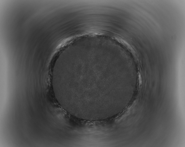 X0000088140776200705211135