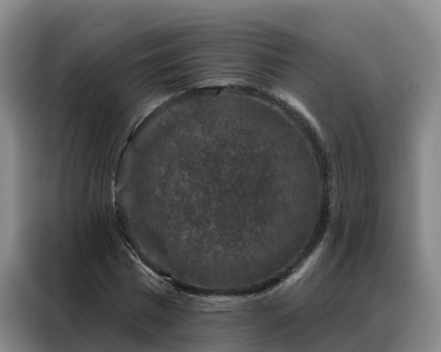 X0000088140777200705211135