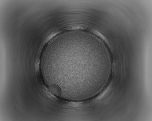 X0000088140778200705211135