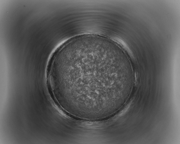 X0000088140780200705211135
