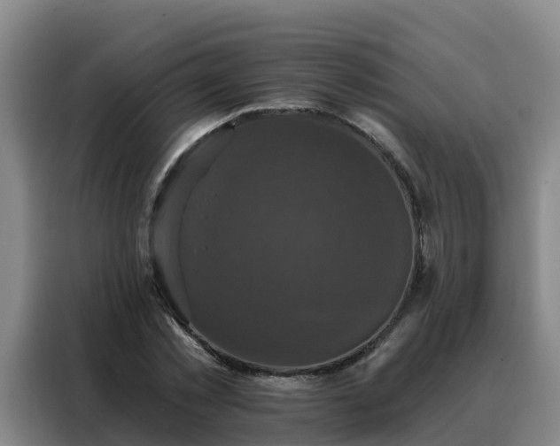 X0000088140781200705211135
