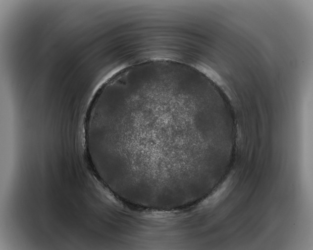 X0000088140782200705211135