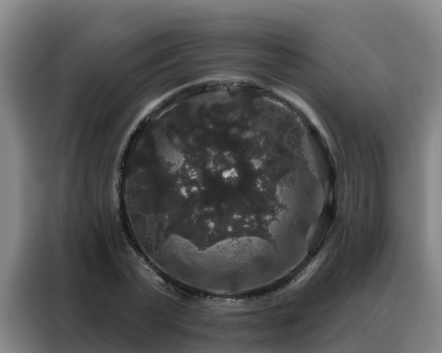 X0000088140783200705211135