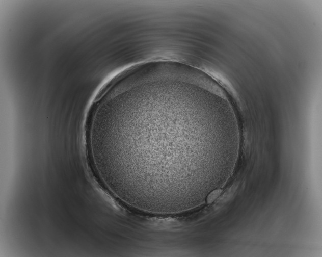 X0000088140784200705211135