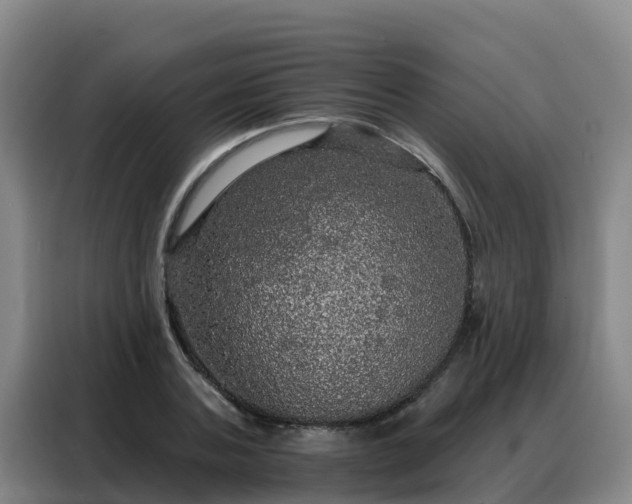 X0000088140787200705211135