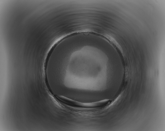 X0000088140789200705211135