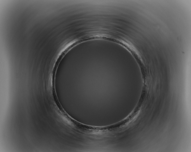 X0000088140790200705211135
