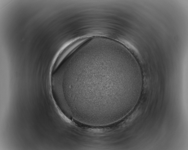 X0000088140792200705211135
