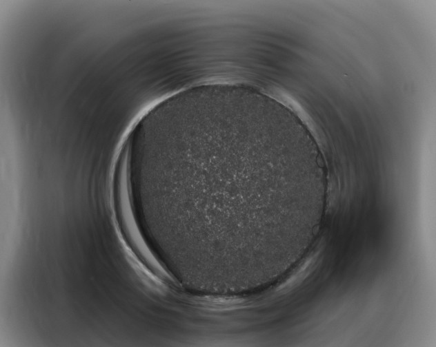 X0000088140795200705211135
