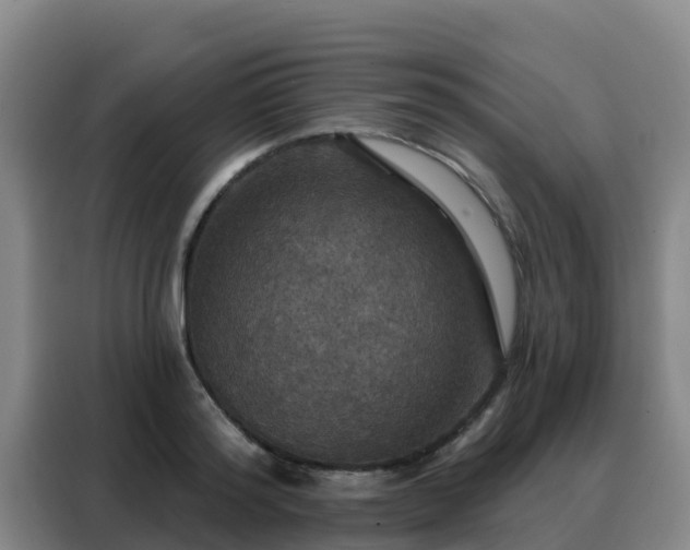 X0000088140796200705211135