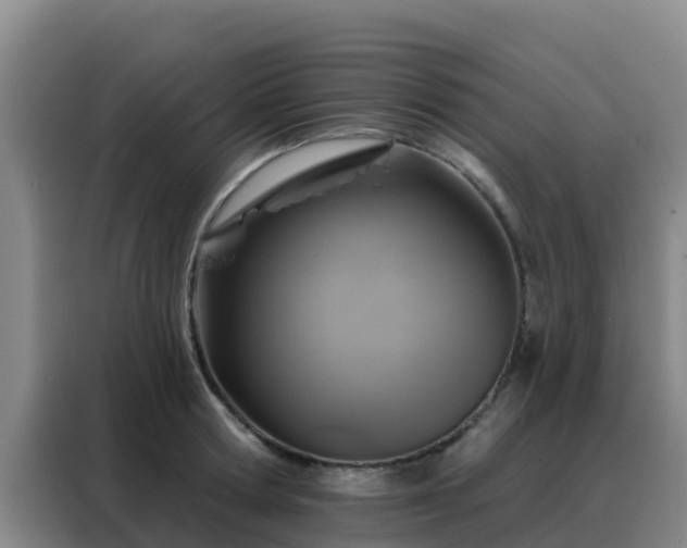 X0000088140802200705211134