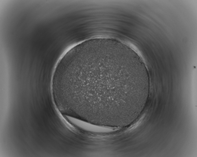 X0000088140803200705211134