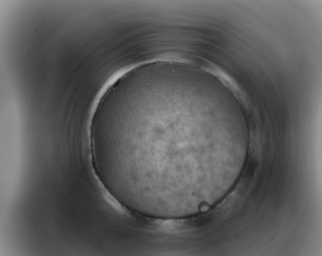 X0000088140808200705211134