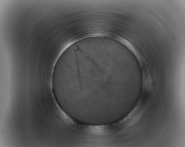 X0000088140810200705211134