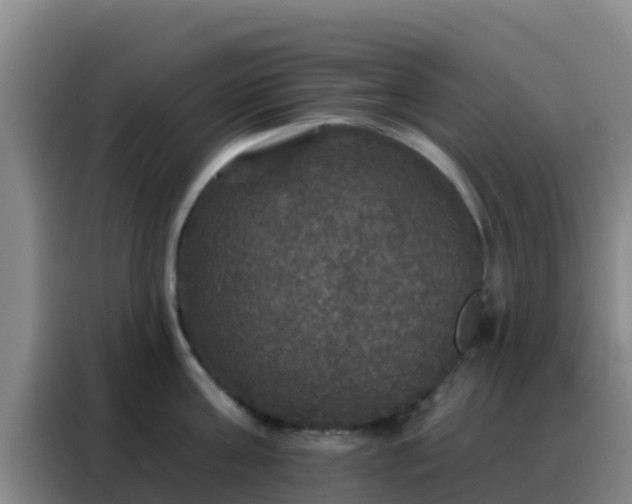 X0000088140811200705211134