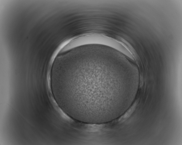 X0000088140812200705211134