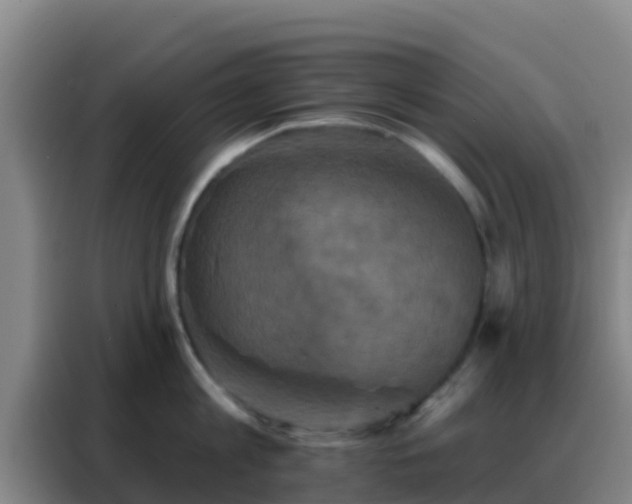 X0000088140813200705211134
