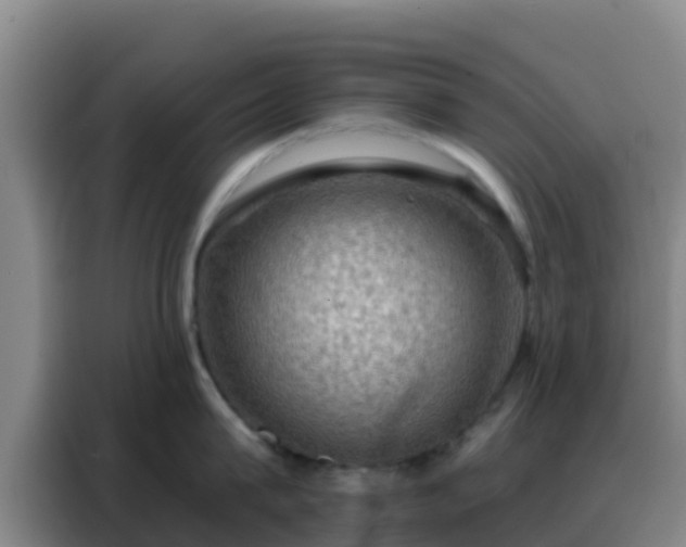 X0000088140815200705211134