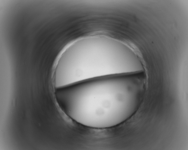 X0000088140816200705211134