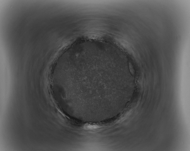 X0000088140817200705211134
