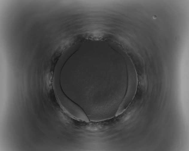 X0000088140818200705211134