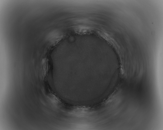 X0000088140820200705211134