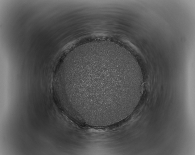 X0000088140821200705211134